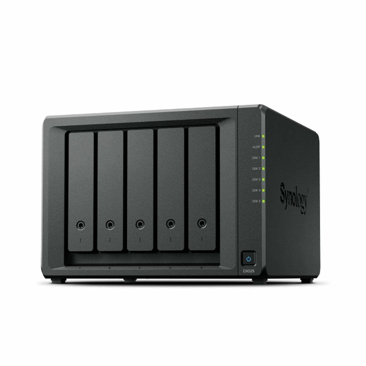 NAS-Netzwerk-Speicher Synology DX525