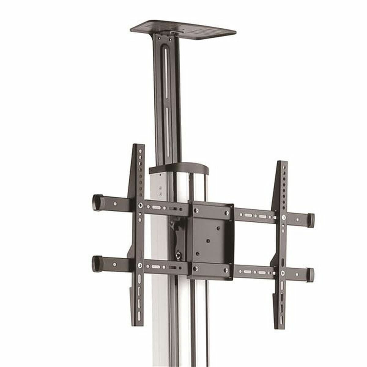 Trolley Startech STNDMTV70            - Image 2