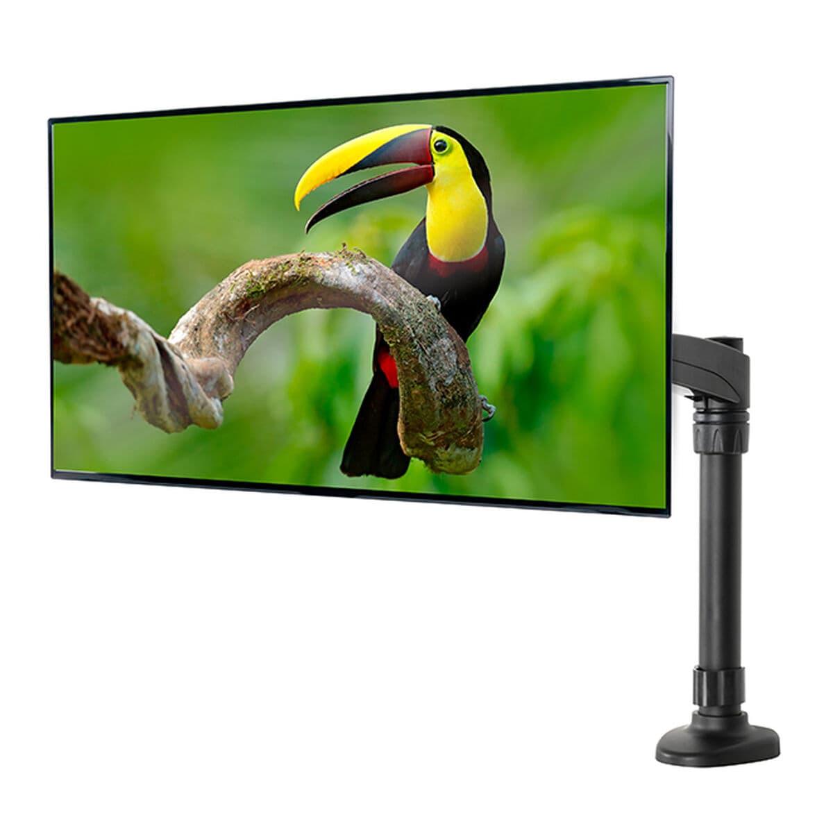 Support de table d'écran B-Tech BT7373/B 28" 10" - Image 2