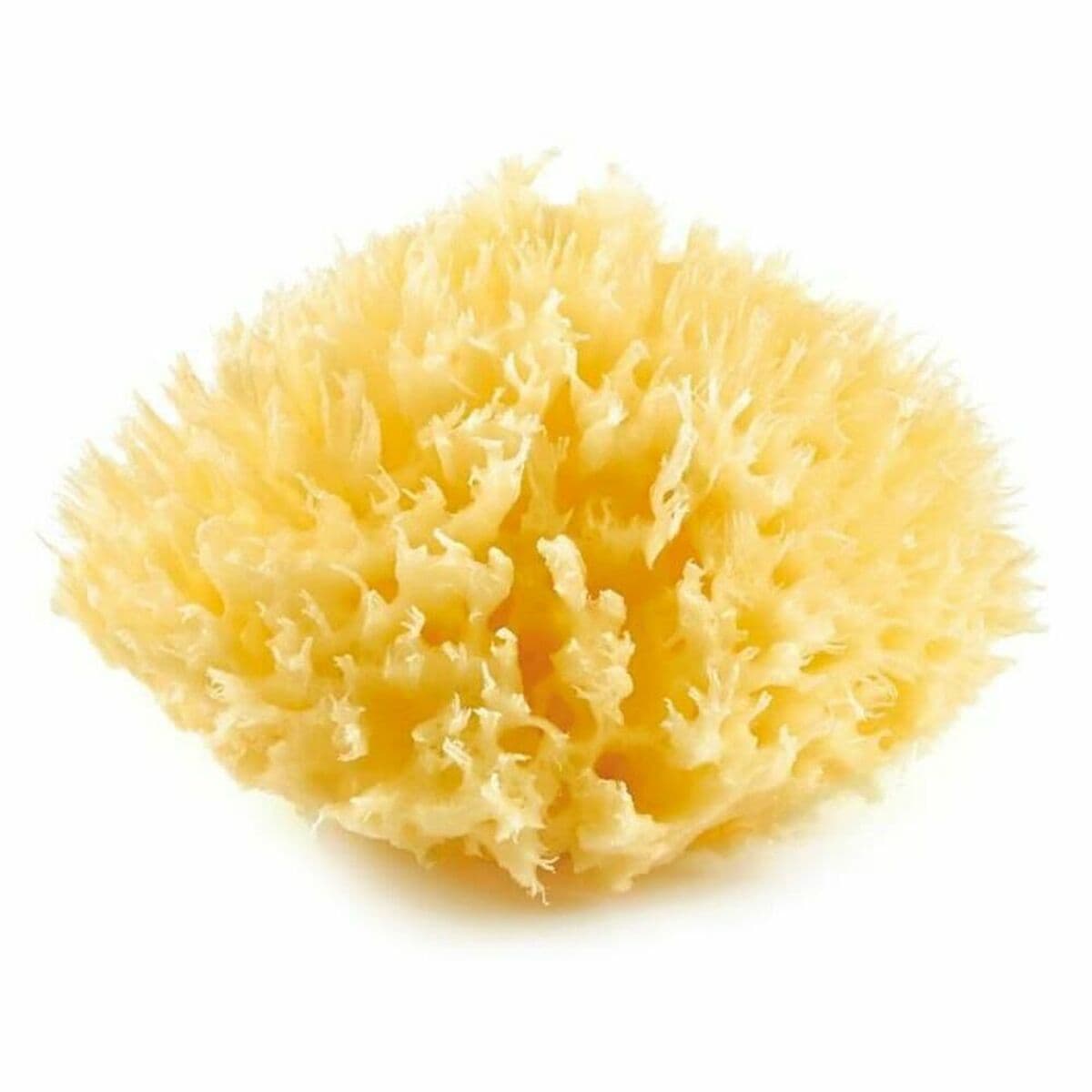 Esponja Corporal ThermoBaby Amarillo