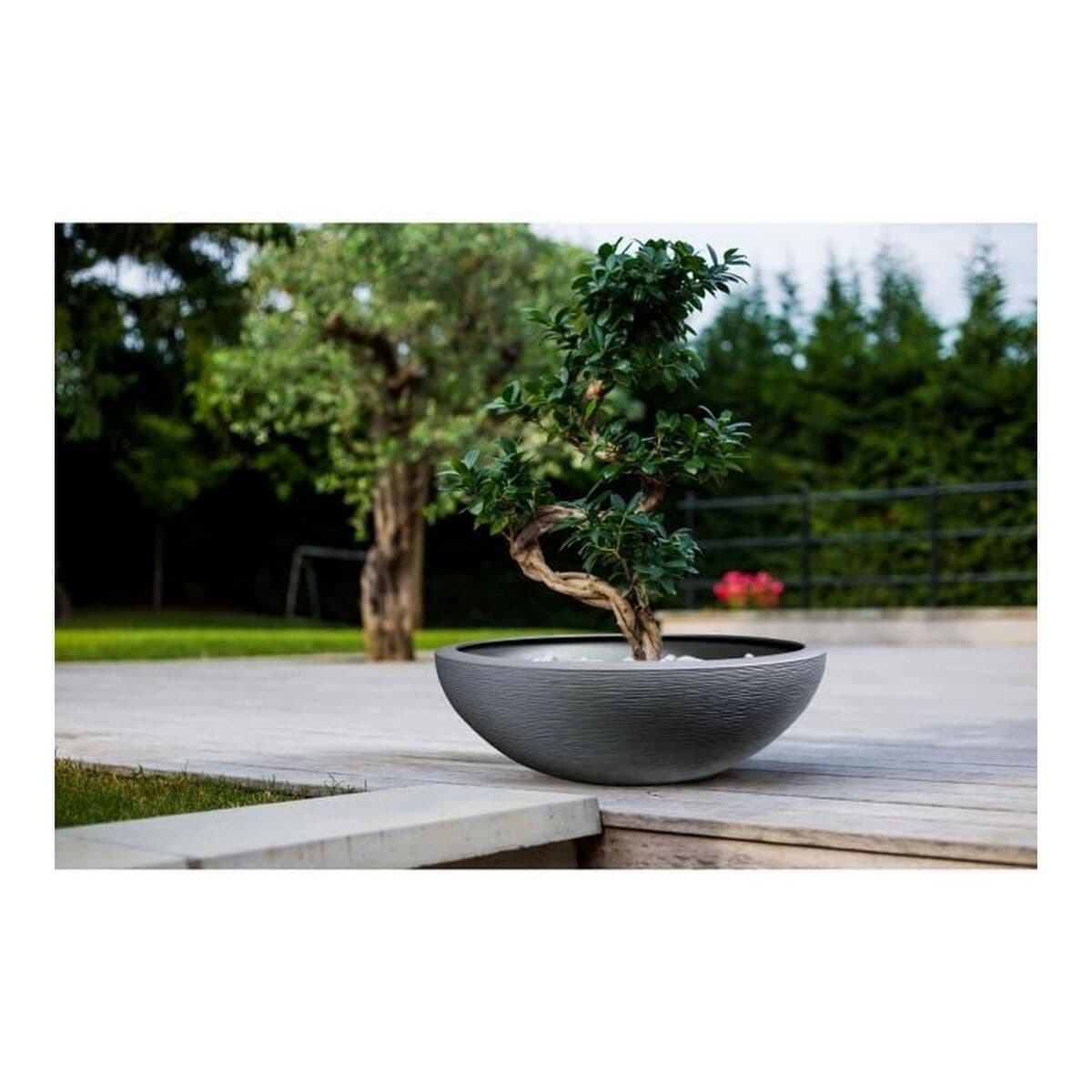 Blumentopf EDA Graphit Washbasin Grau Dunkelgrau (Ø 59 x 21 cm) - Image 2