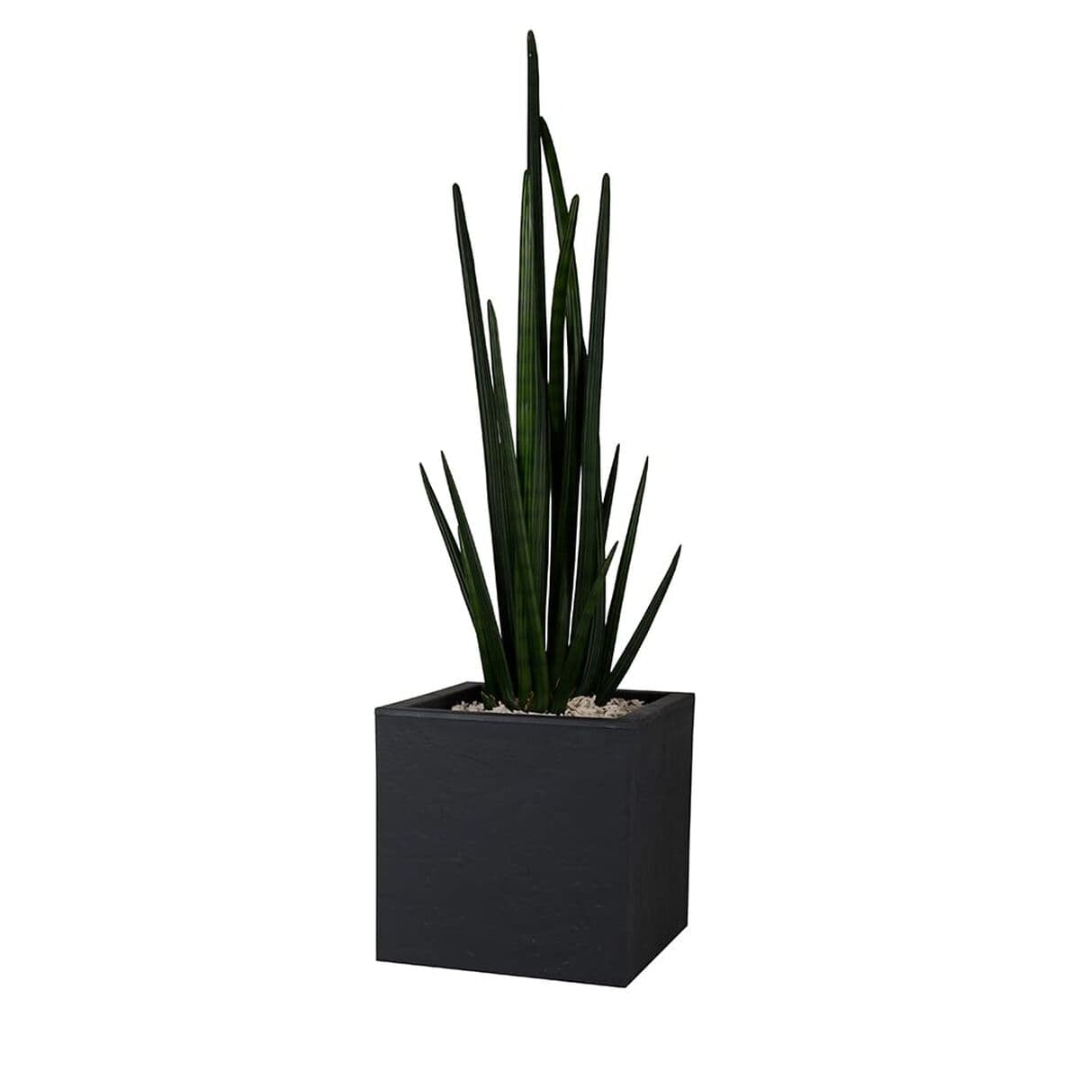 Planter EDA polypropylene Plastic Rectangular (Refurbished B) - Image 11
