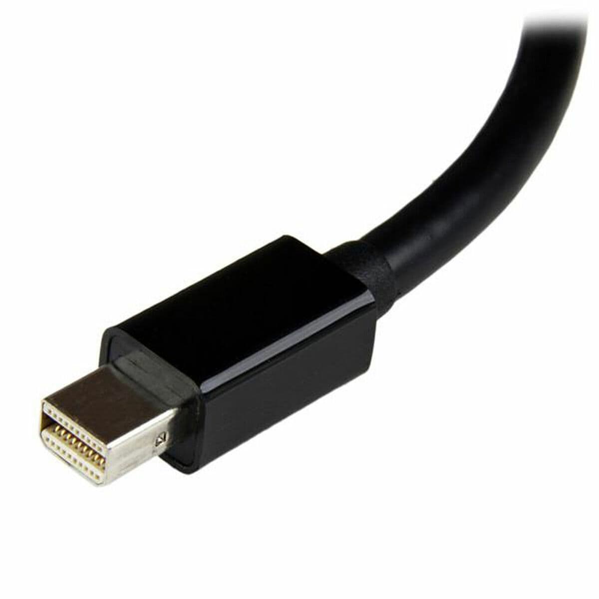 Adaptateur Mini DisplayPort vers DVI Startech V932294 Noir - Image 2