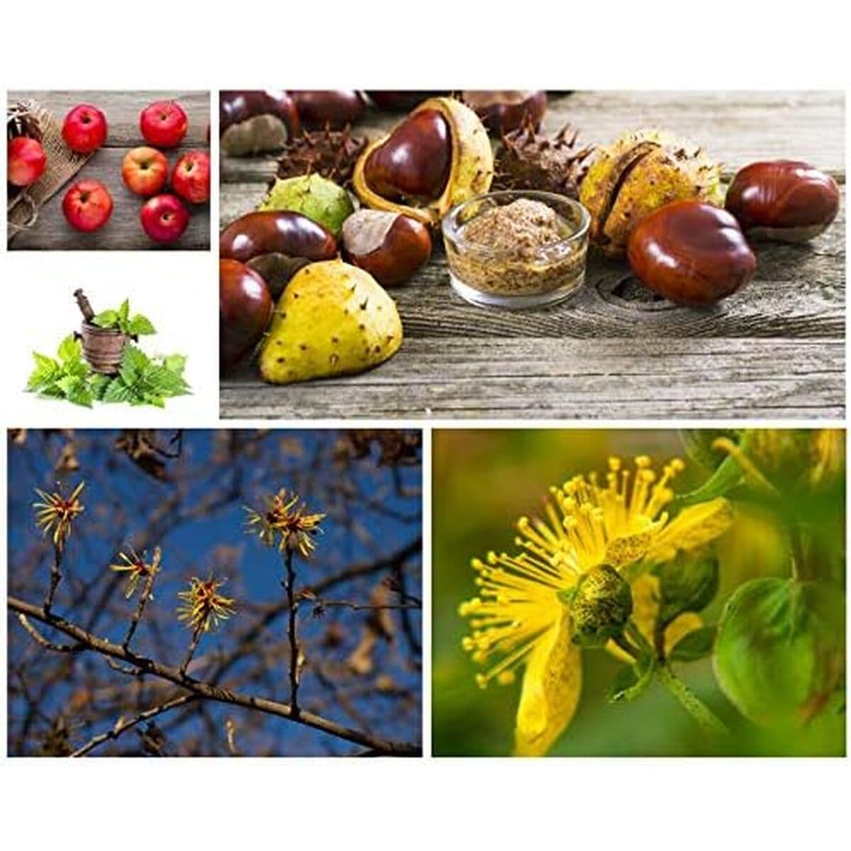 Krem do Twarzy Talika Lipocils 10 ml - Image 15