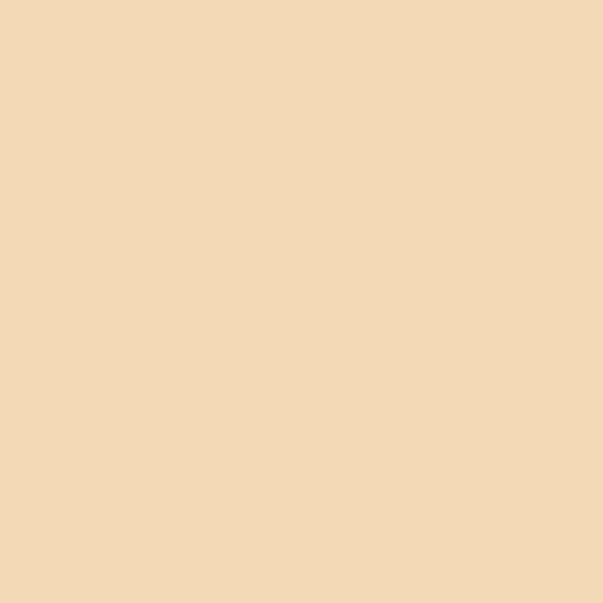 Primer Paint Ripolin Beige Matt 10 L - Image 2