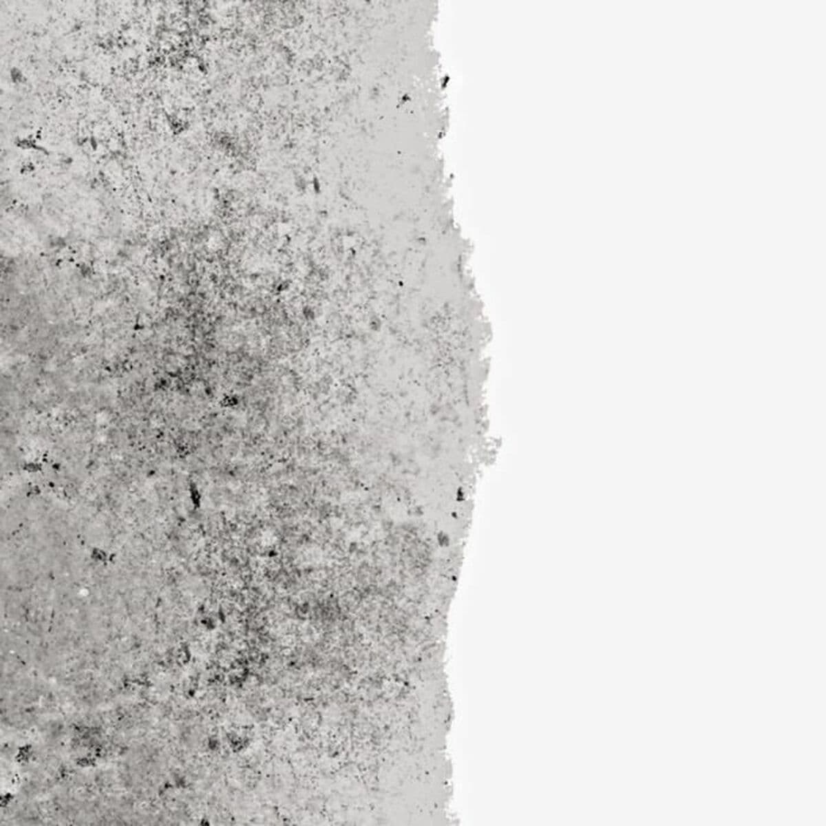 Gruntinis Dažai Ripolin Balta Parafinas 2,5 L - Image 2