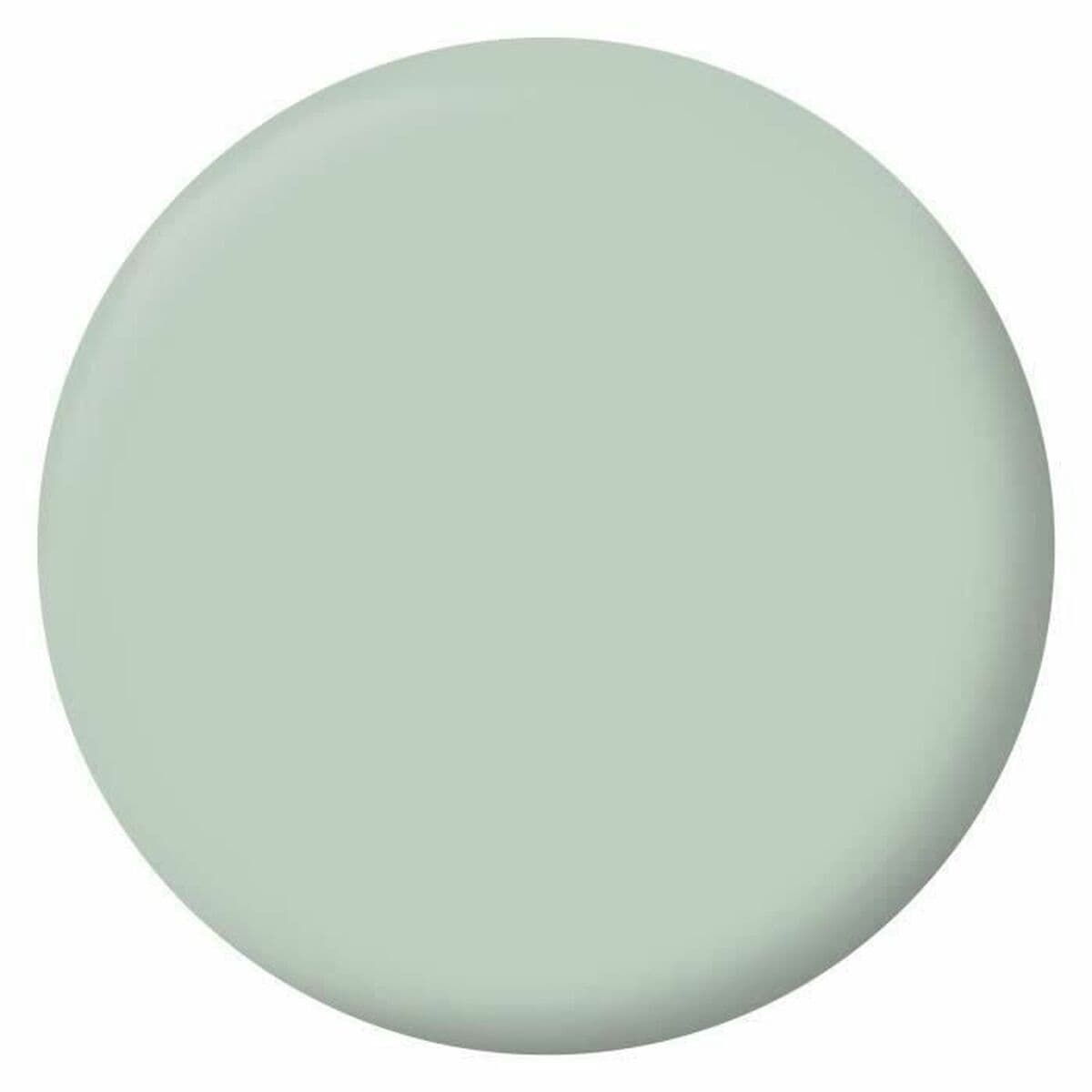 Primer Paint Ripolin Vert 2,5 L Matt - Image 2