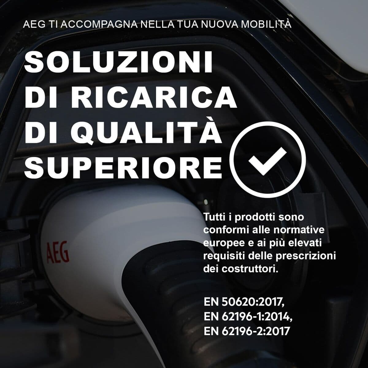 Akumuliatoriaus įkroviklis AEG 201869 - Image 12