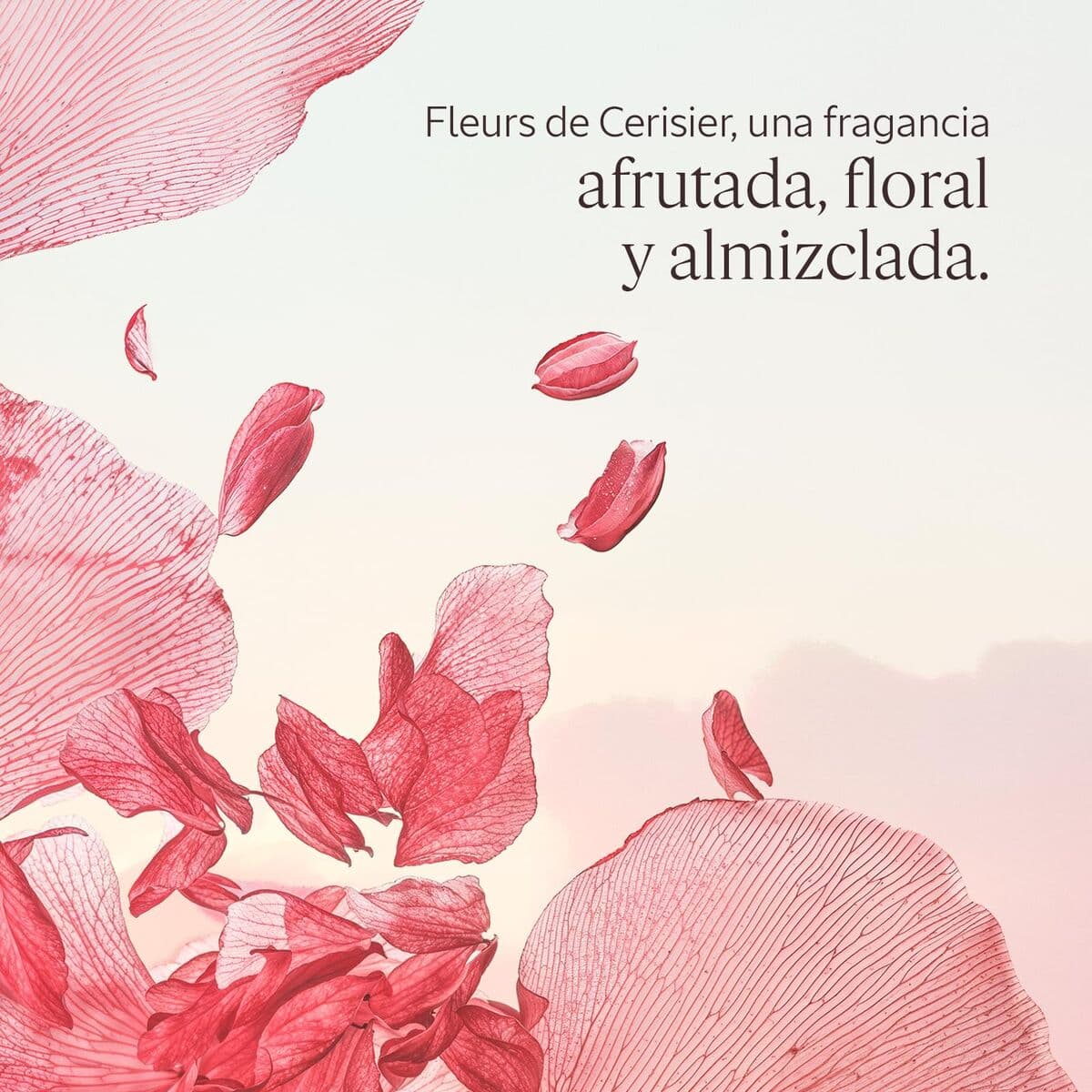 Duschgel L'Occitane En Provence FLEURS DE CERISIER - Image 3