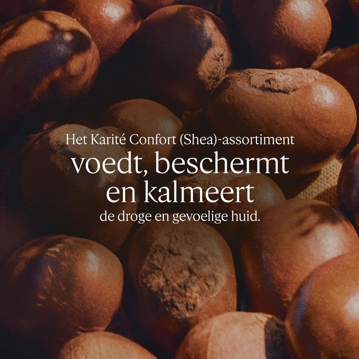 Crema de Pies Hidratante L'Occitane En Provence KARITÉ CONFORT 150 ml - Image 2