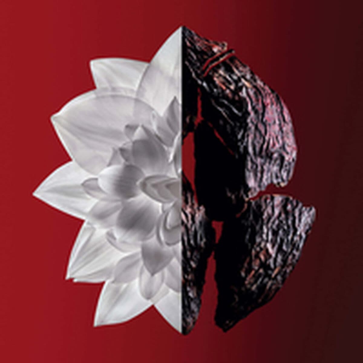 Perfume Mujer Givenchy L'Interdit Rouge Ultime 35 ml - Image 3