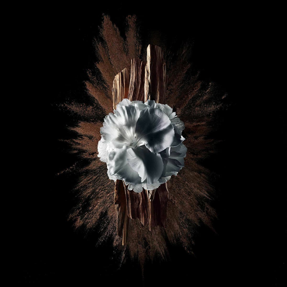 Parfym Herrar Givenchy GENTLEMAN SOCIETY 60 ml - Image 5