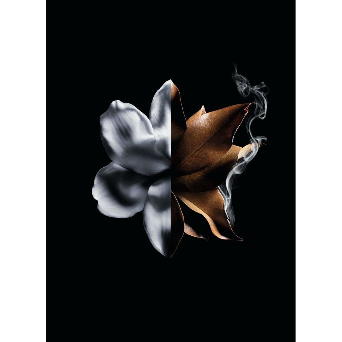 Unisex-Parfüm Givenchy L'Interdit Absolu 50 ml - Image 6