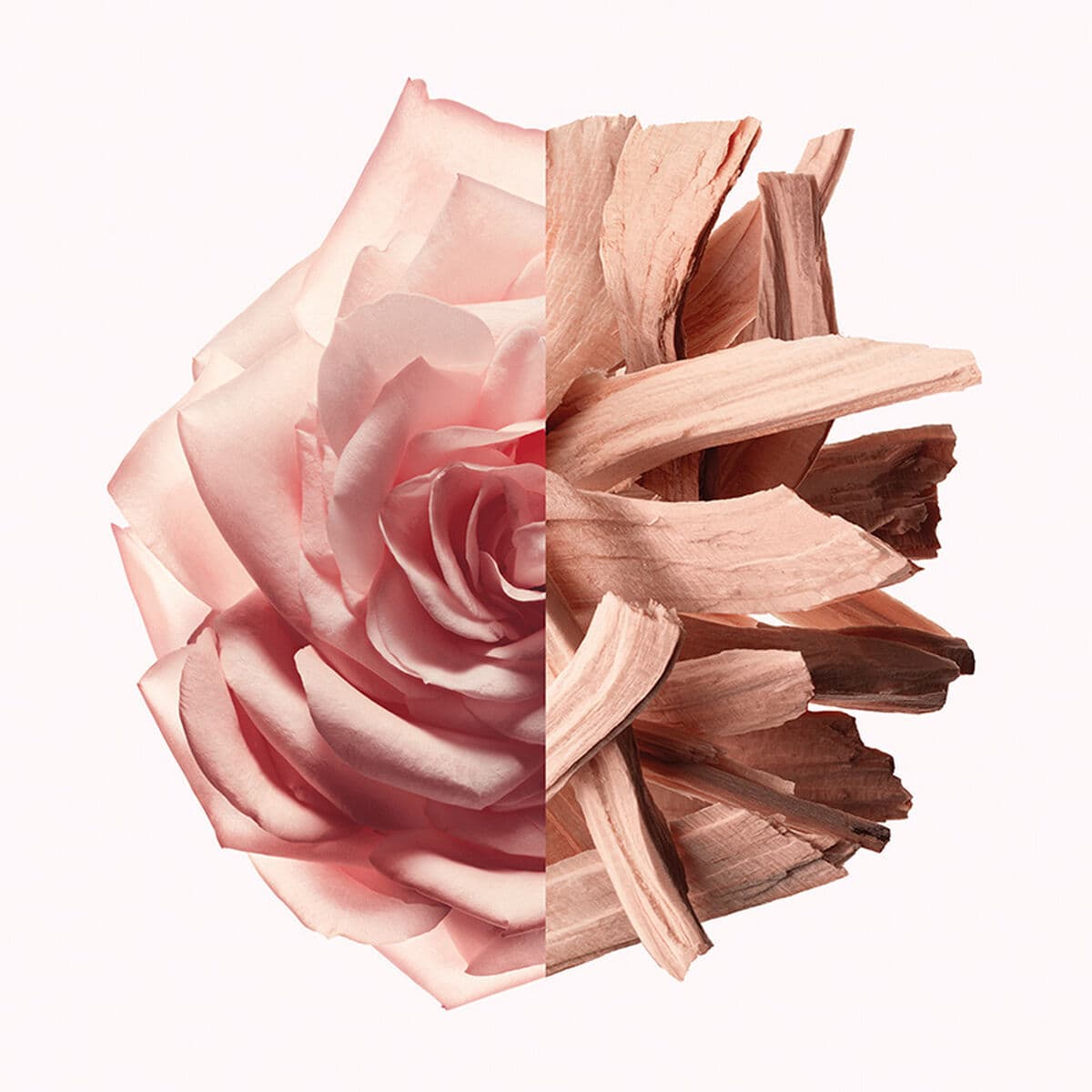 Naisten parfyymi Givenchy IRRESISTIBLE NUDE VELVET EDP 50 ml - Image 4