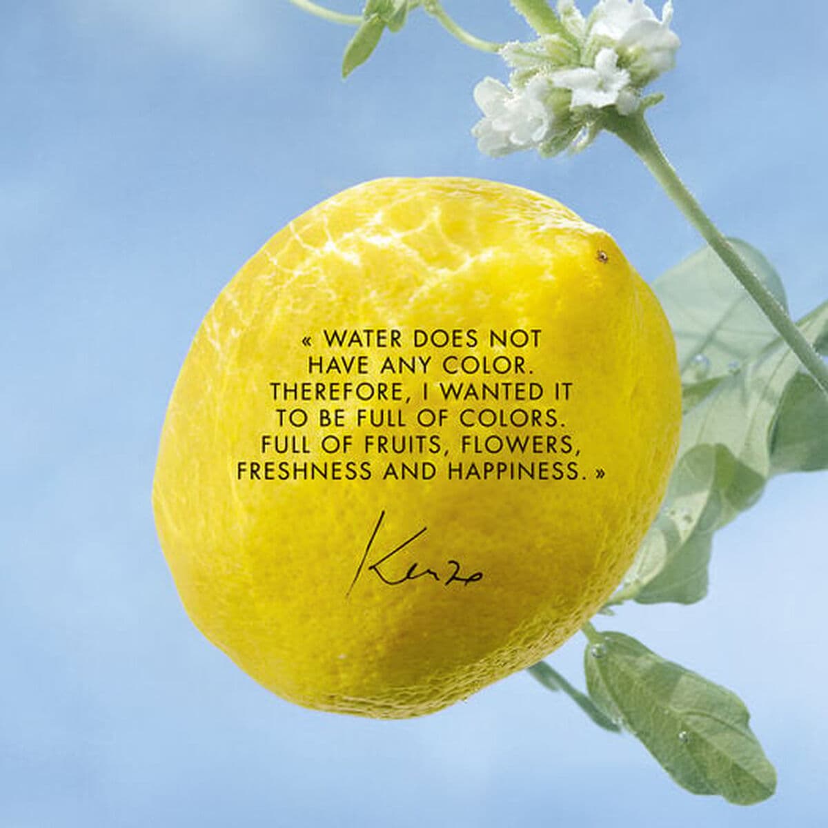 Unisex parfyymi Kenzo L'EAU PURE 50 ml - Image 2