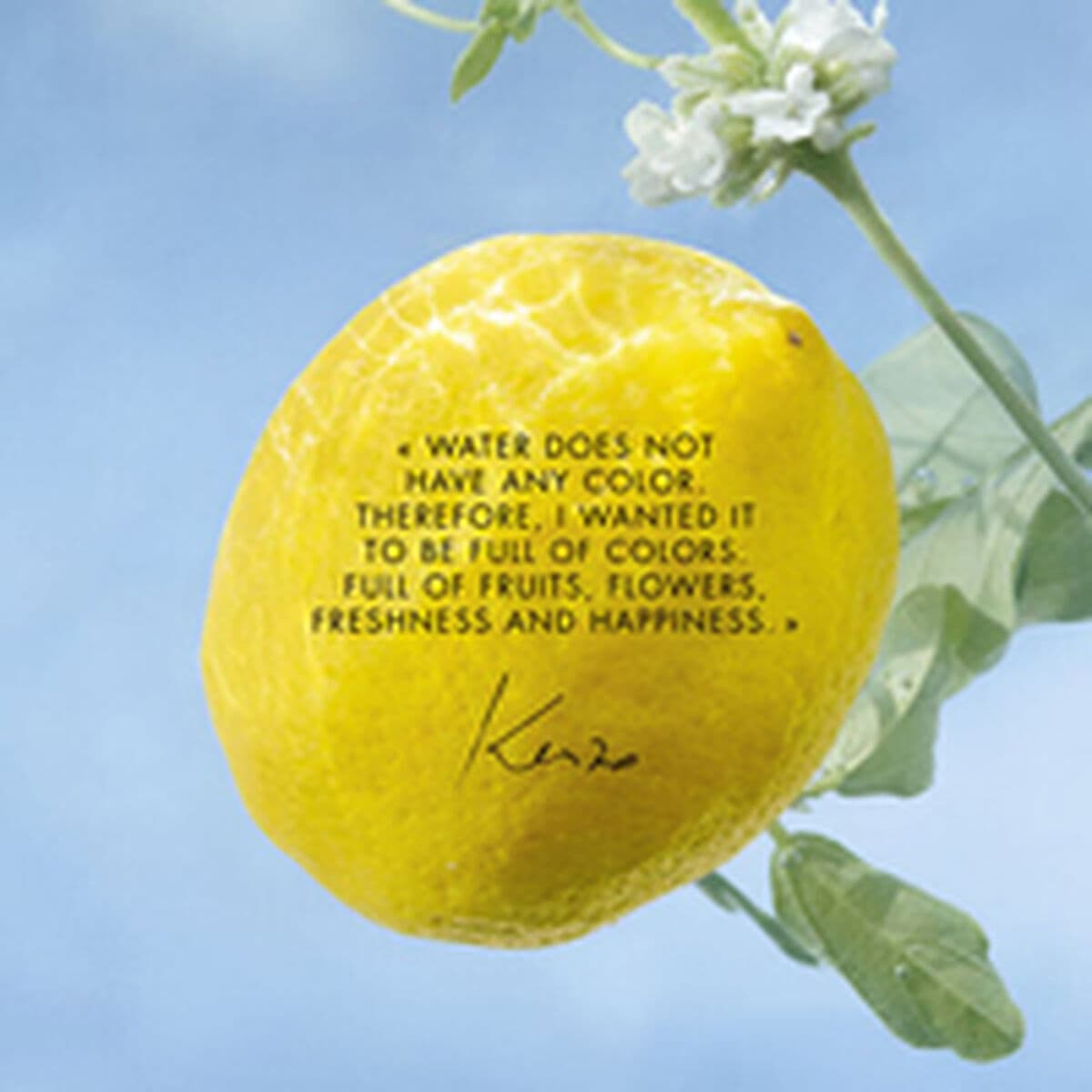 Unisex parfyymi Kenzo L'EAU PURE 50 ml - Image 3