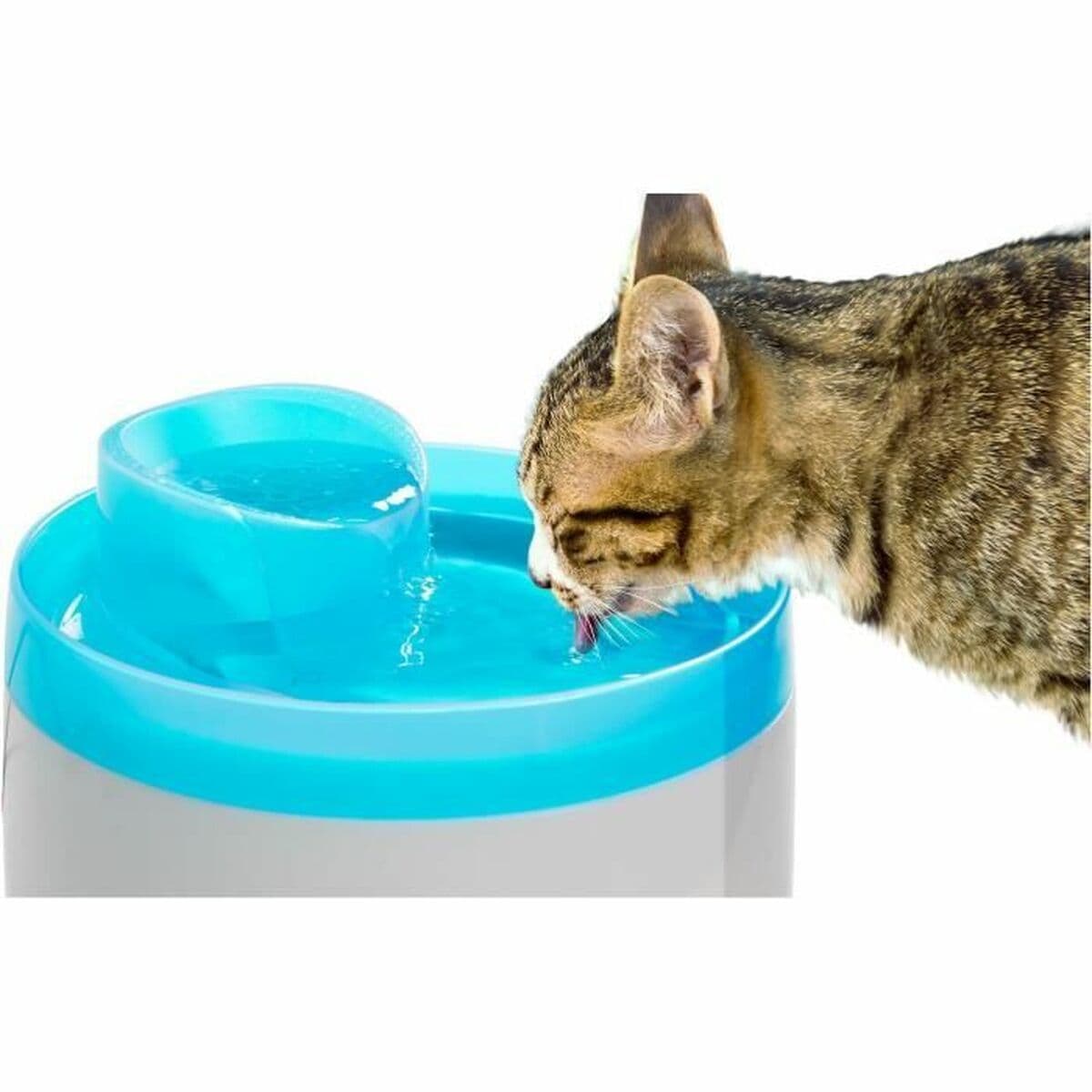 Fonte para Animais de Estimação Zolux - Image 4
