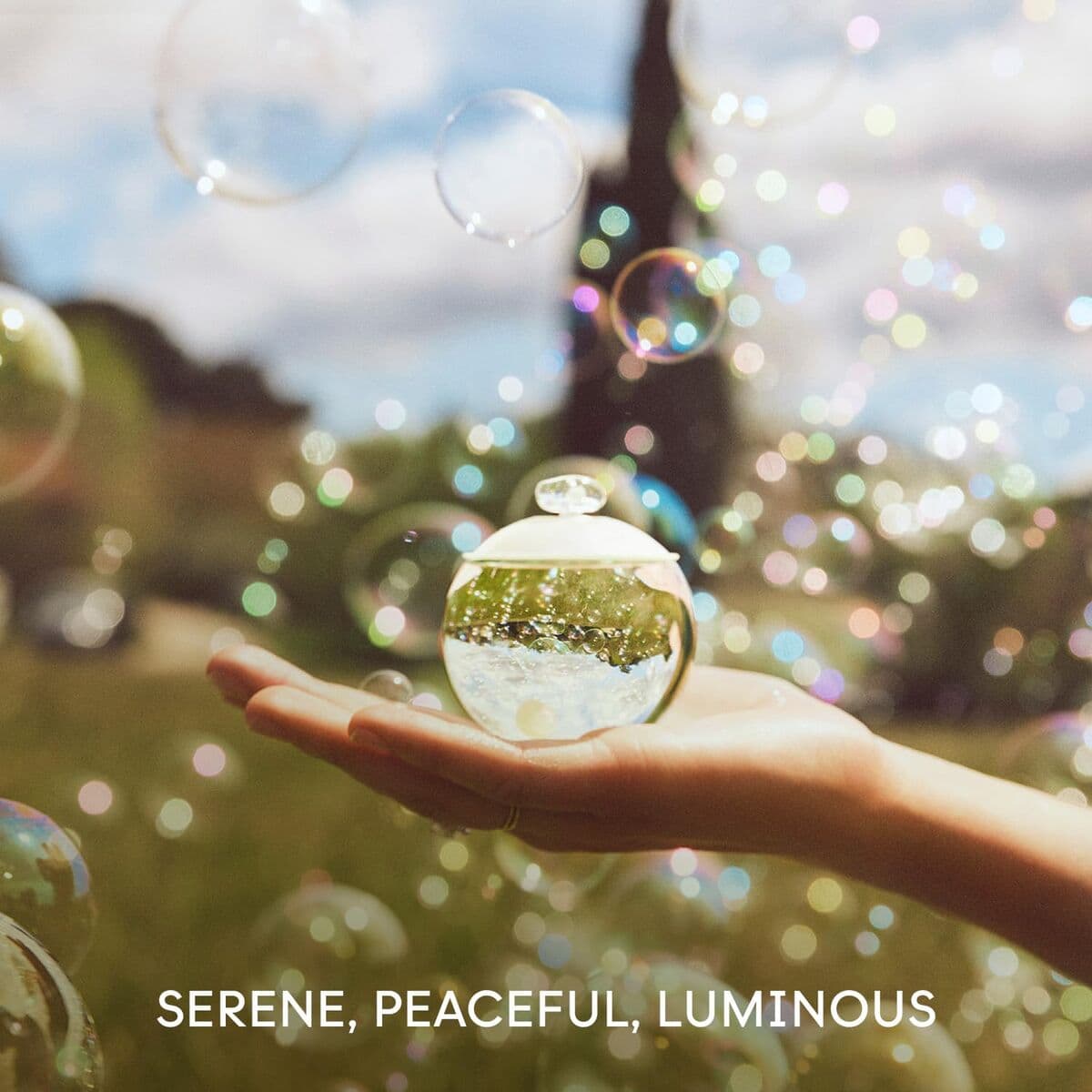 Parfym Damer Cacharel 121266 EDT 30 ml - Image 6