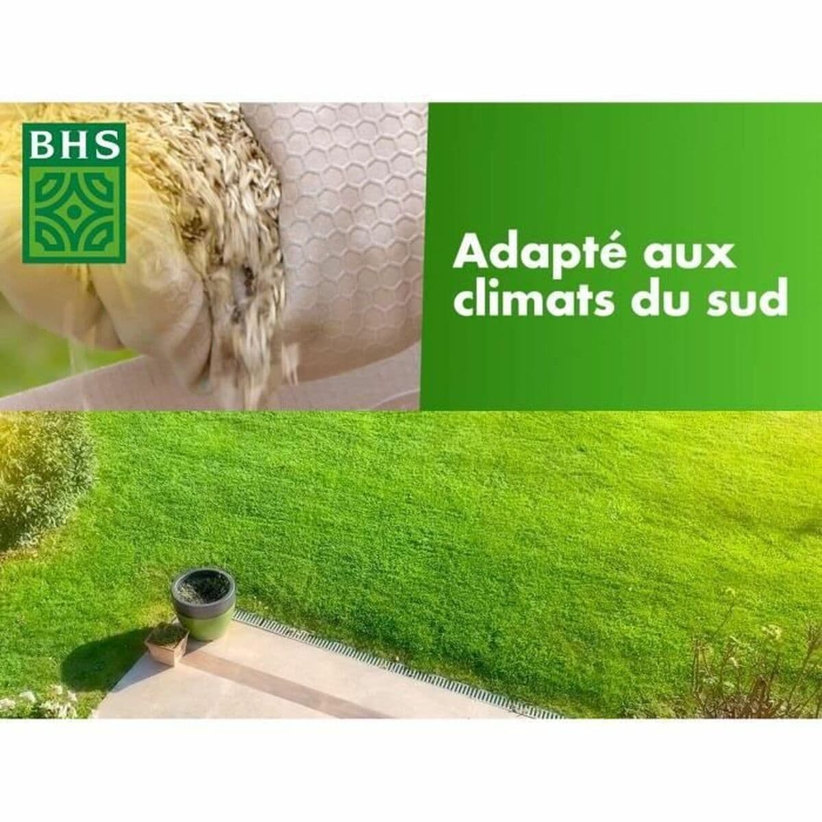 Sėklos BHS 10 kg - Image 3