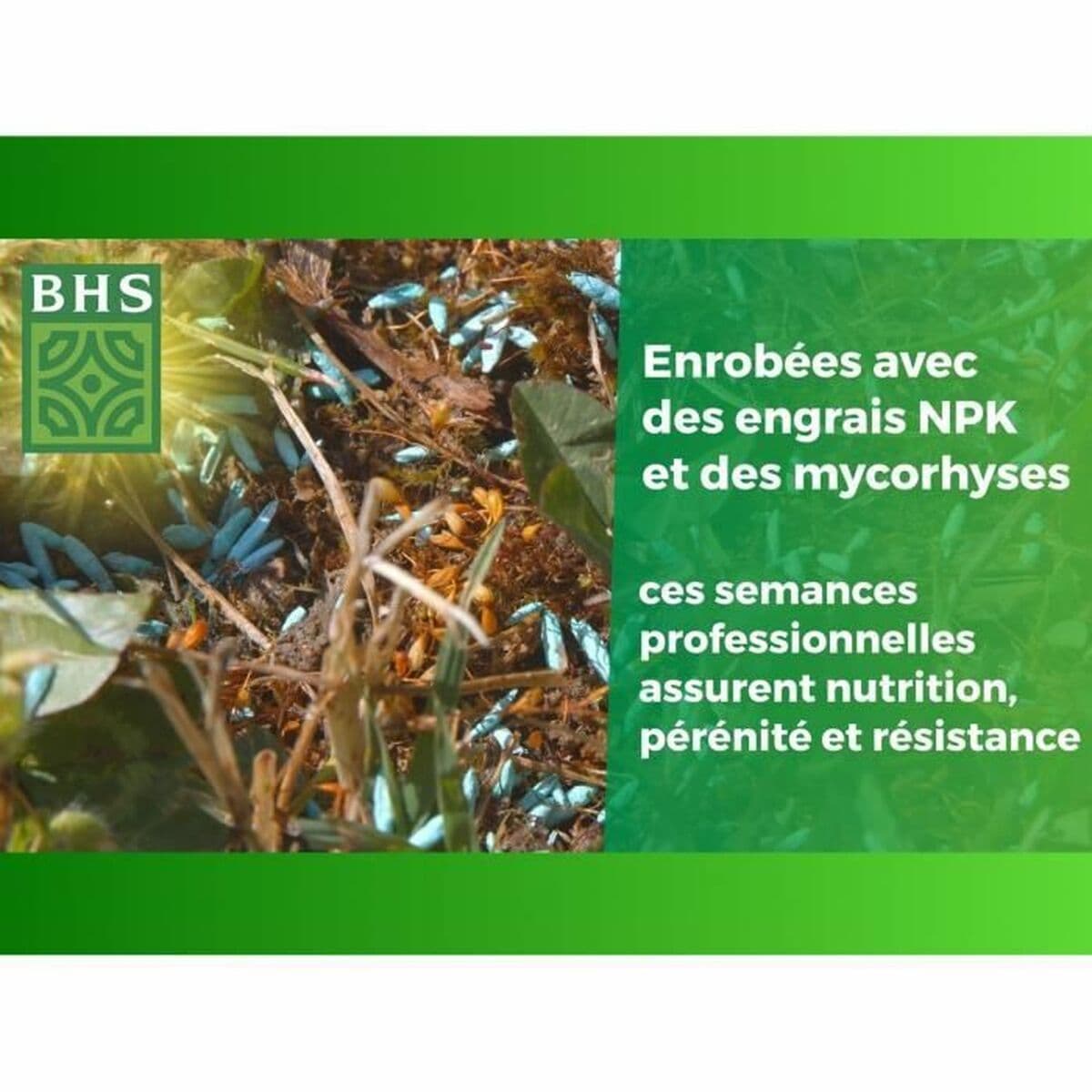 Semillas BHS 3 Kg - Image 2