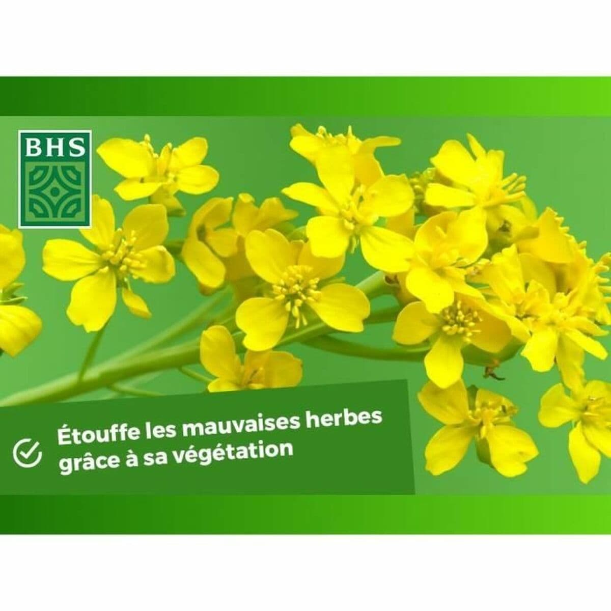 Îngrășământ de plante BHS 500 g - Image 4