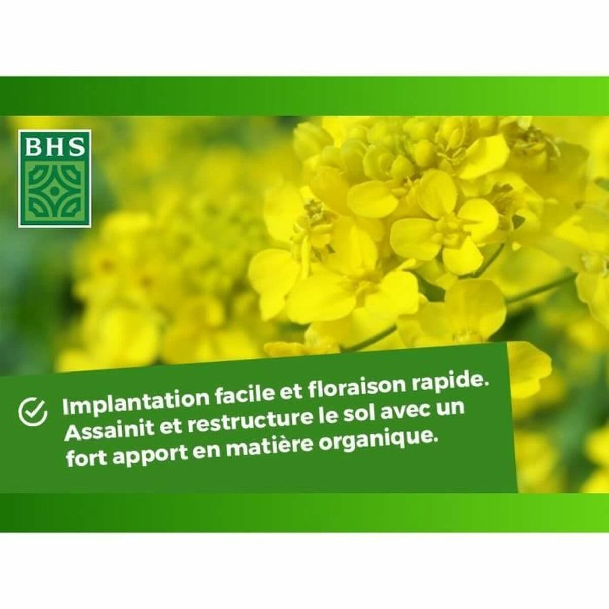 Îngrășământ de plante BHS 500 g - Image 6