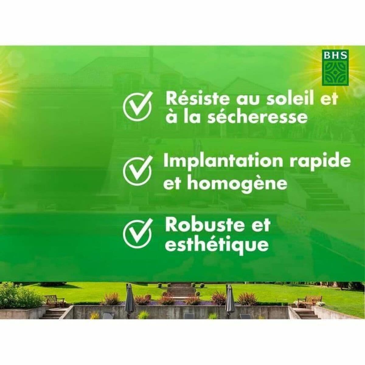 Semillas BHS 1 kg - Image 2