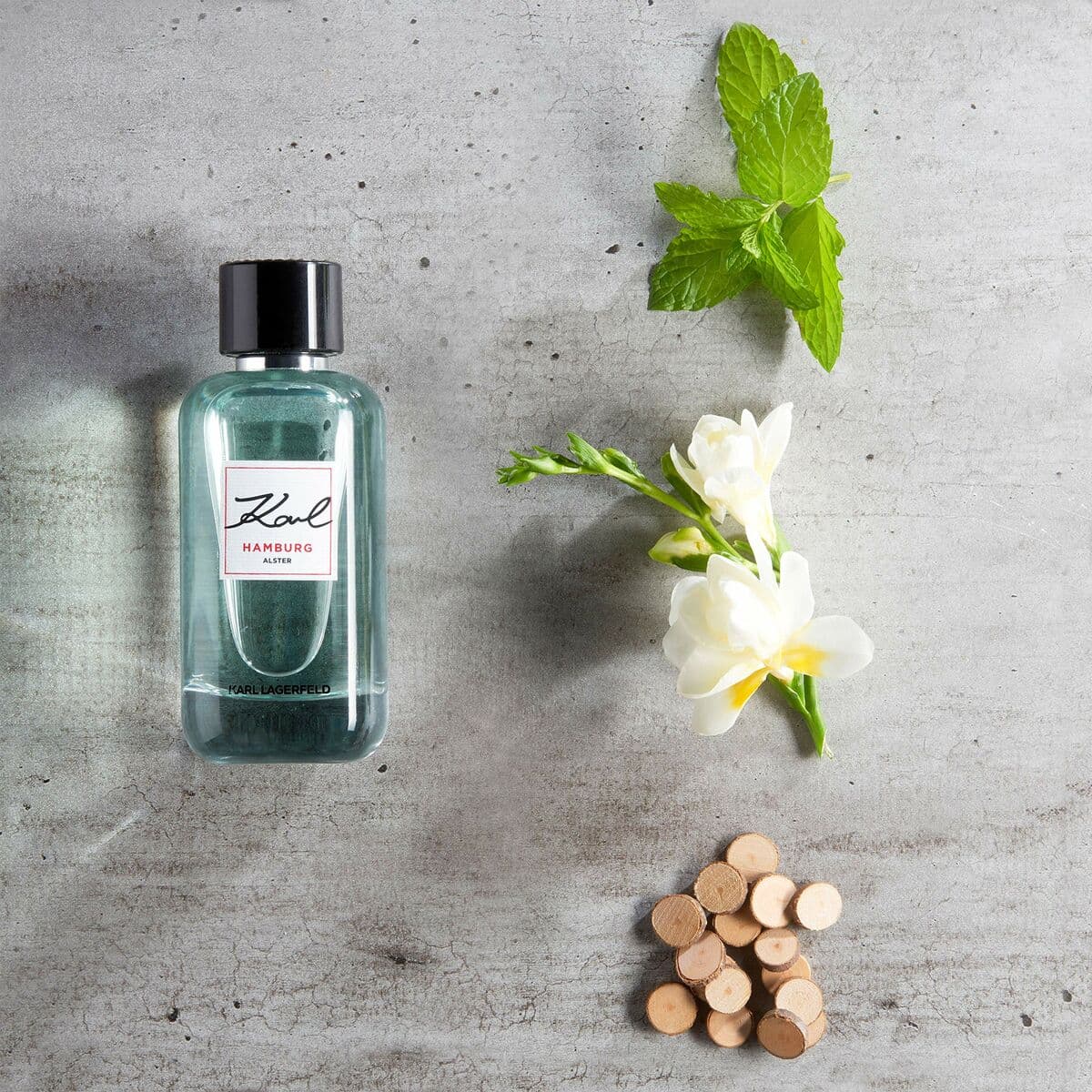 Vyrų kvepalai Karl Lagerfeld Karl Hamburg Alster 60 ml - Image 6