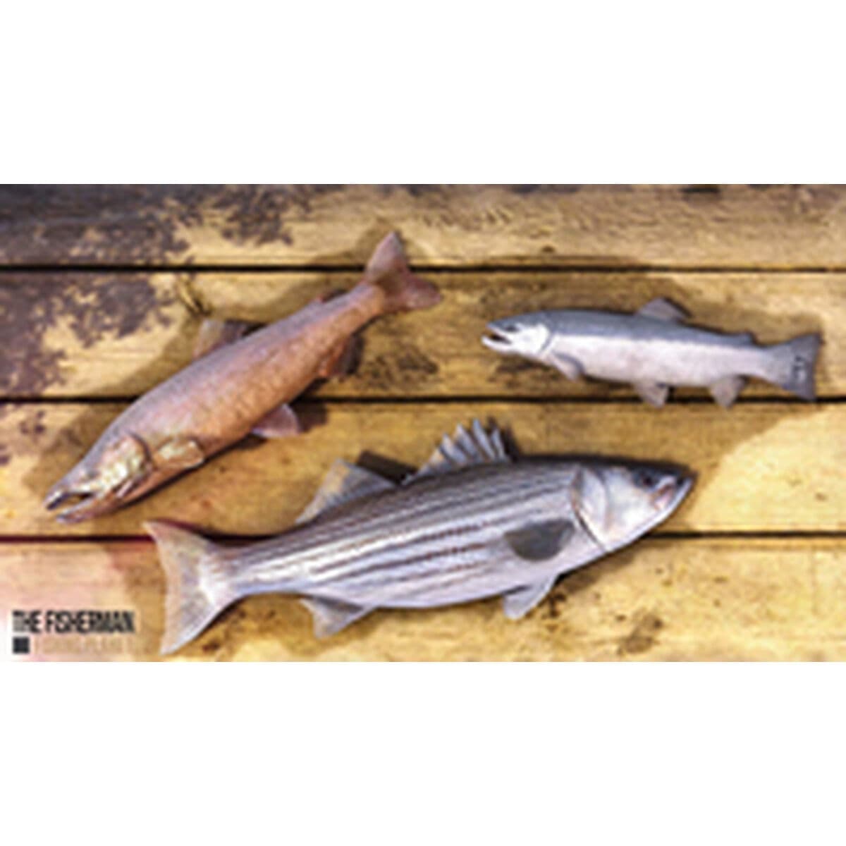 PlayStation 4 Videospiel Nacon PS4FISHPLANLTDSPPT - Image 15