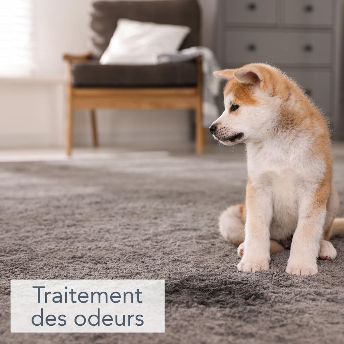 Desinfektionsmittel Saniterpen 1 L - Image 2