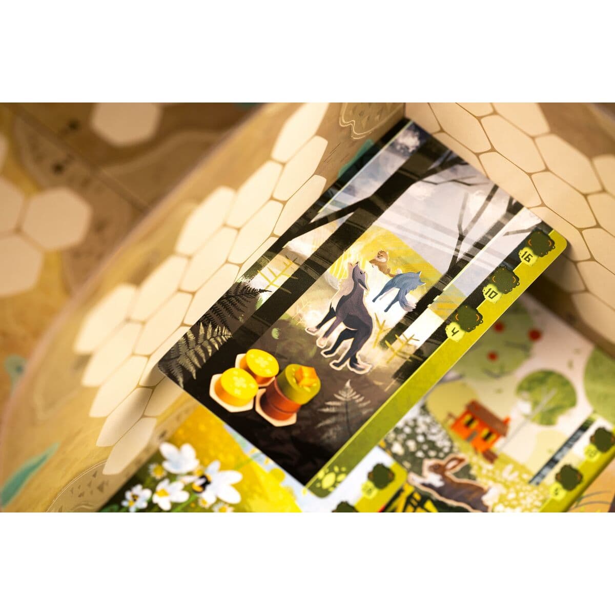 Tischspiel Asmodee 22 x 7 x 22 cm - Image 11