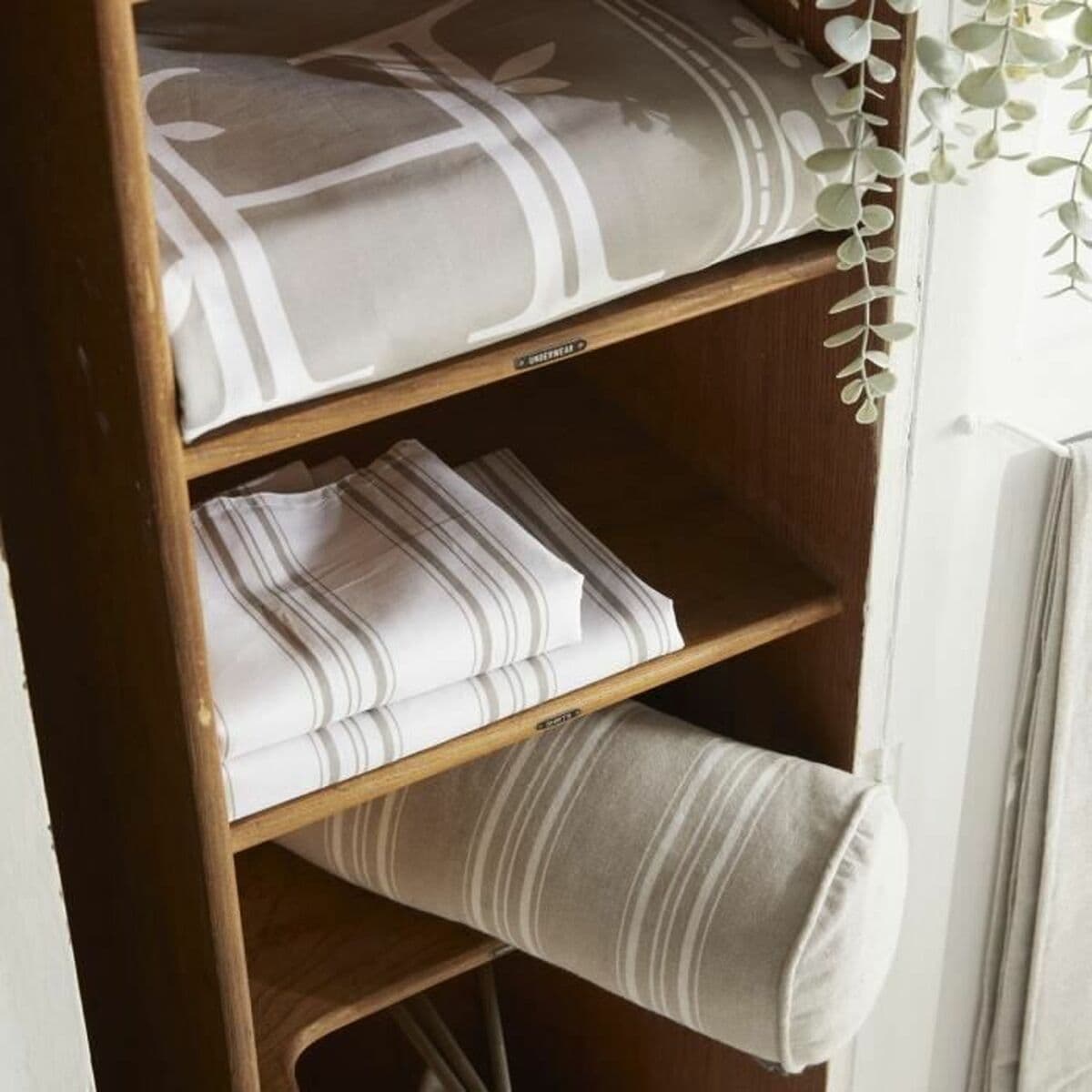 Padi TODAY - Image 2