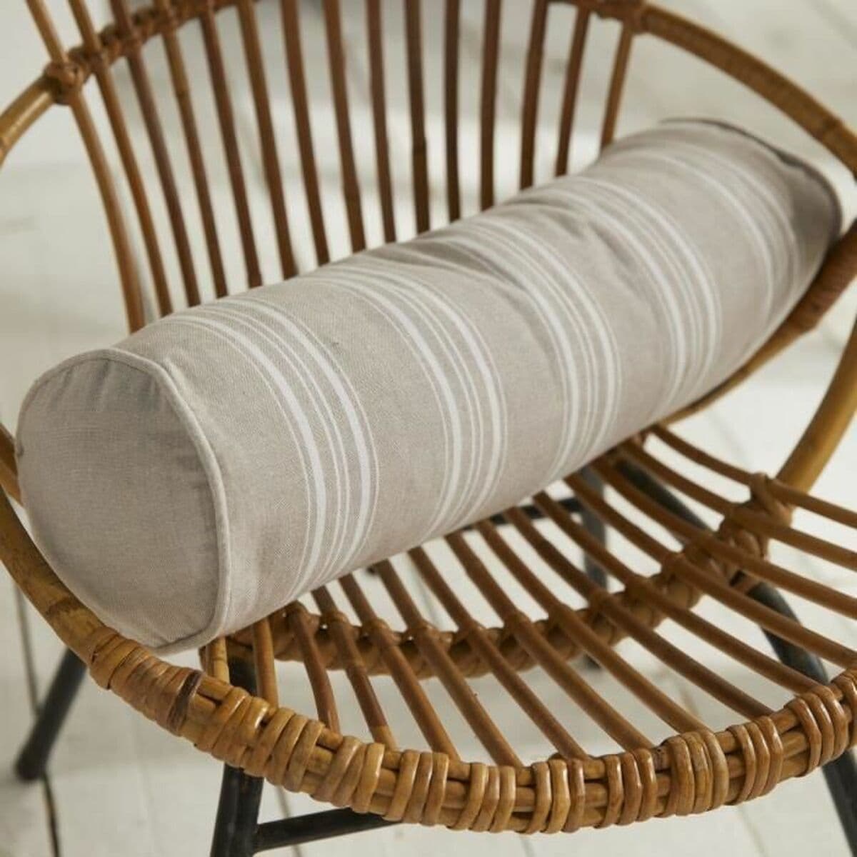 Padi TODAY - Image 3