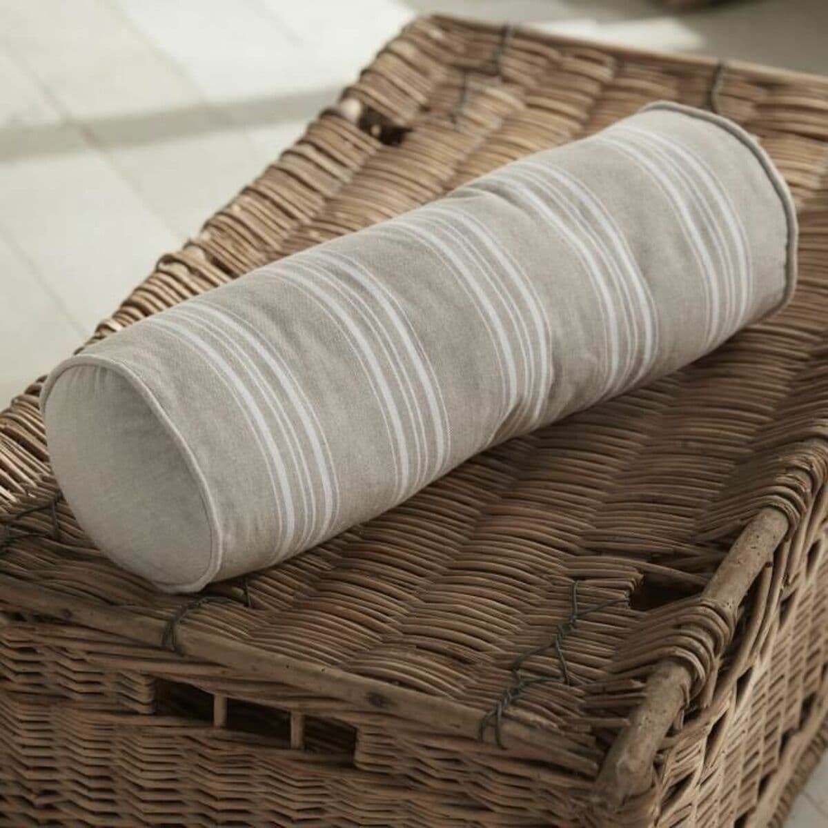 Padi TODAY - Image 4