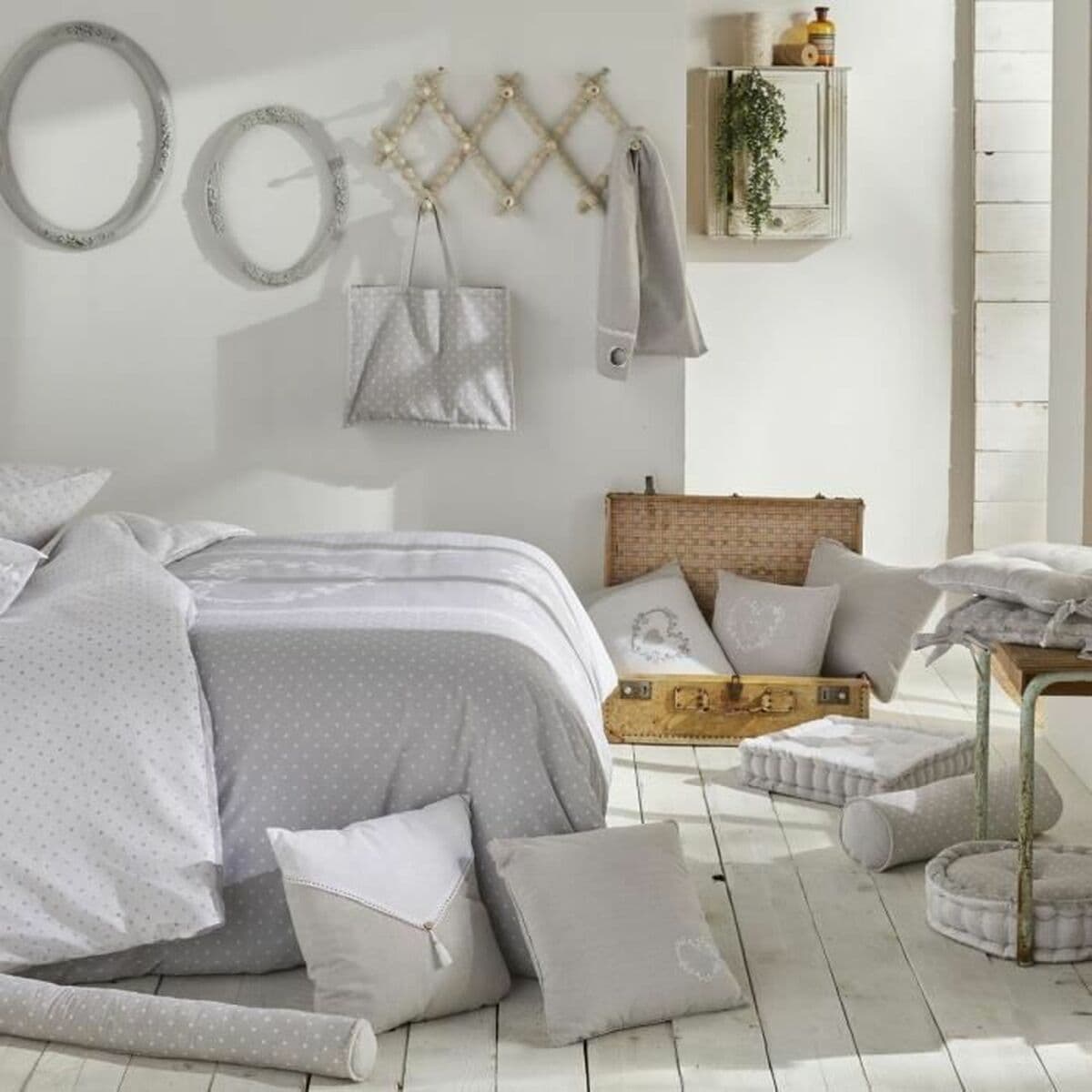 Padi TODAY - Image 4