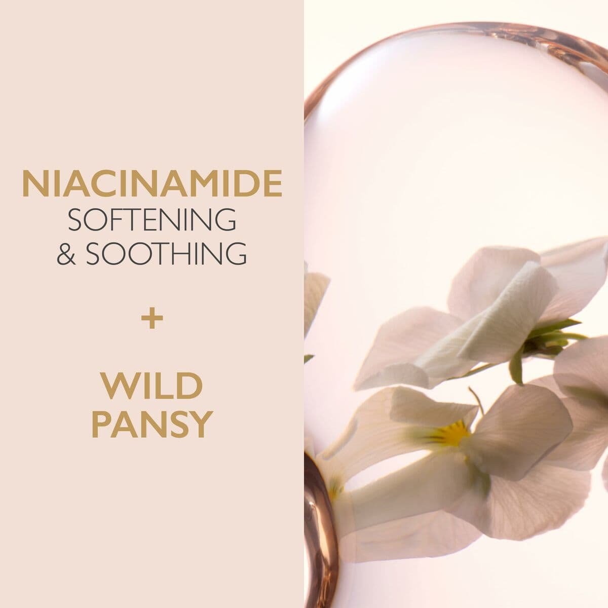 Crema Facial Lancaster Cleansers 400 ml - Image 2