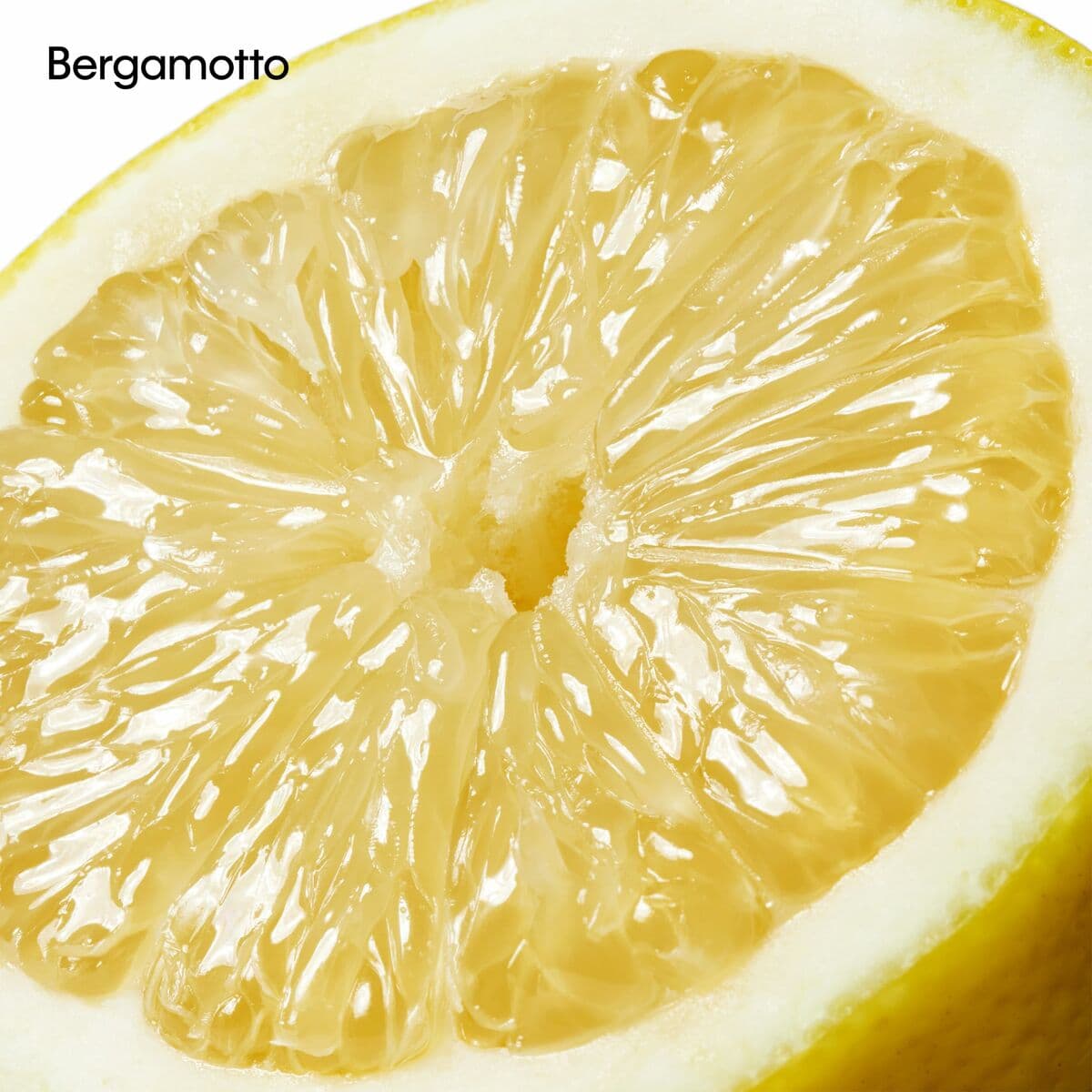 Unisex parfyymi Calvin Klein CK 100 ml - Image 15