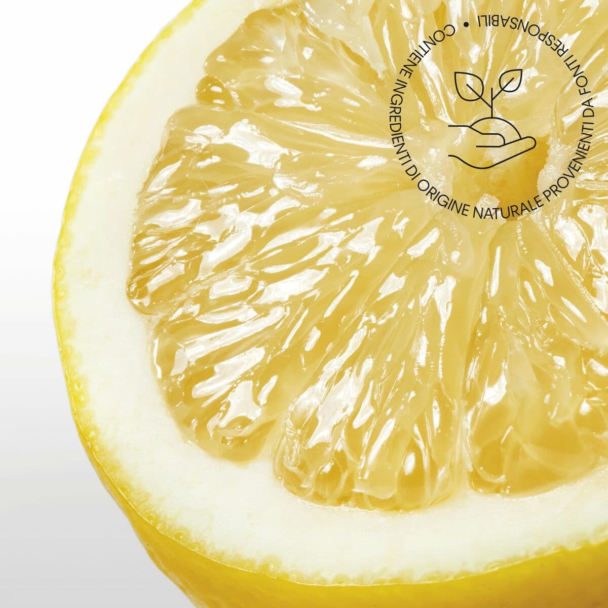 Unisex parfyymi Calvin Klein CK 100 ml - Image 16