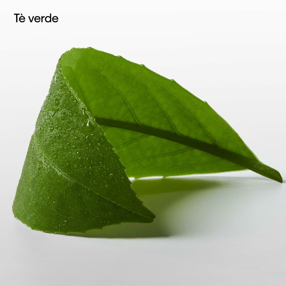 Unisex parfyymi Calvin Klein CK 100 ml - Image 12