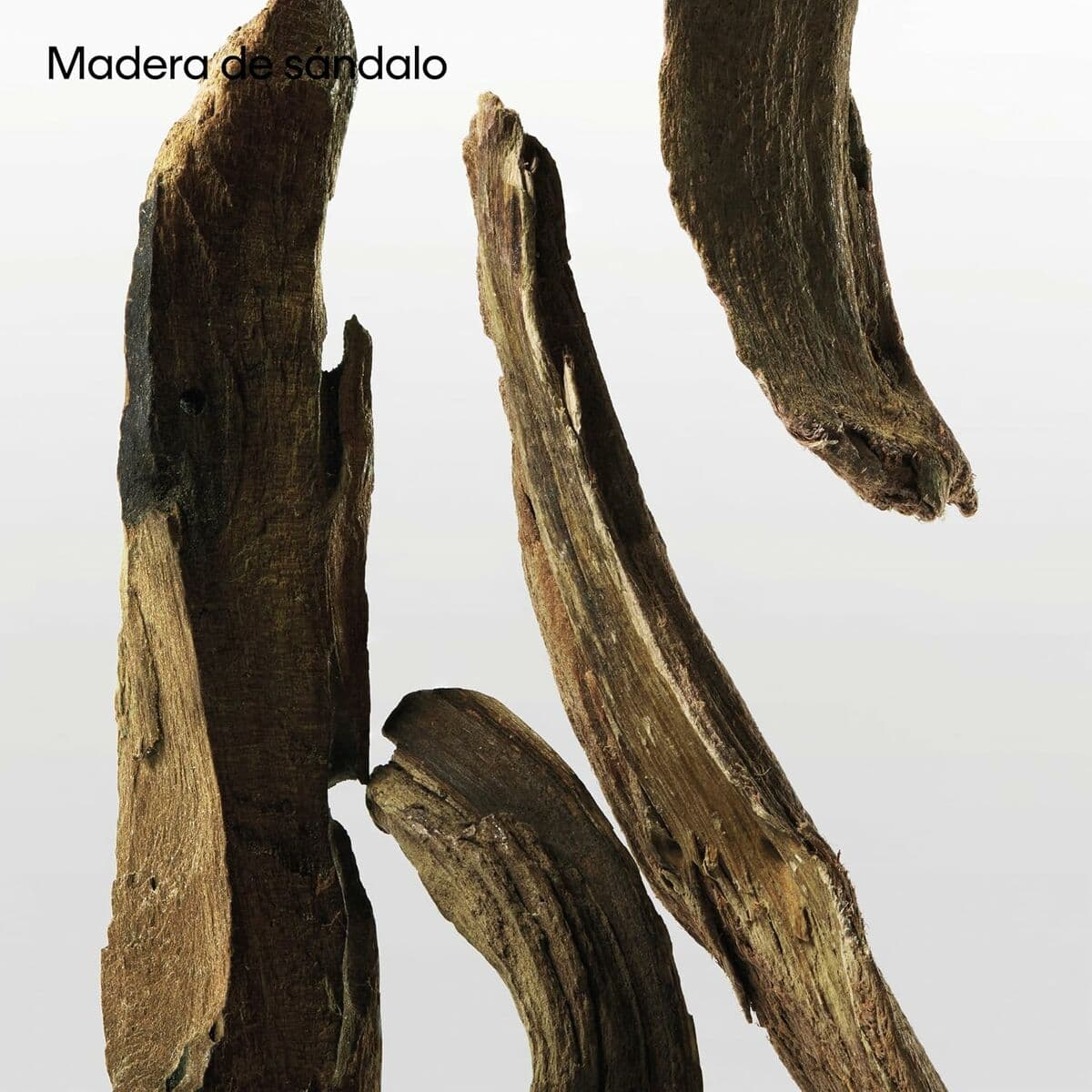 Perfume Unisex Calvin Klein CK 50 ml - Image 10