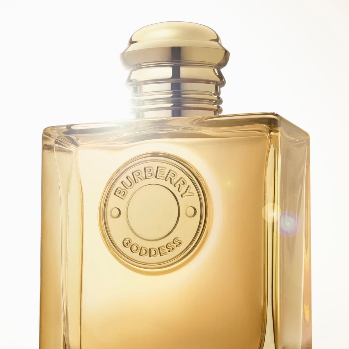Perfume Mujer Burberry BURBERRY GODDESS 100 ml - Image 6