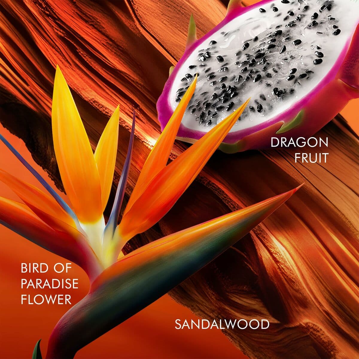 Moterų kvepalai Escada BALI PARADISE 100 ml - Image 3