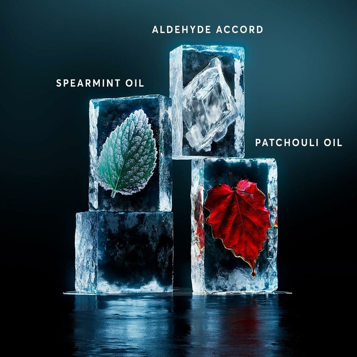 Vyrų kvepalai Hugo Boss HUGO 125 ml - Image 4