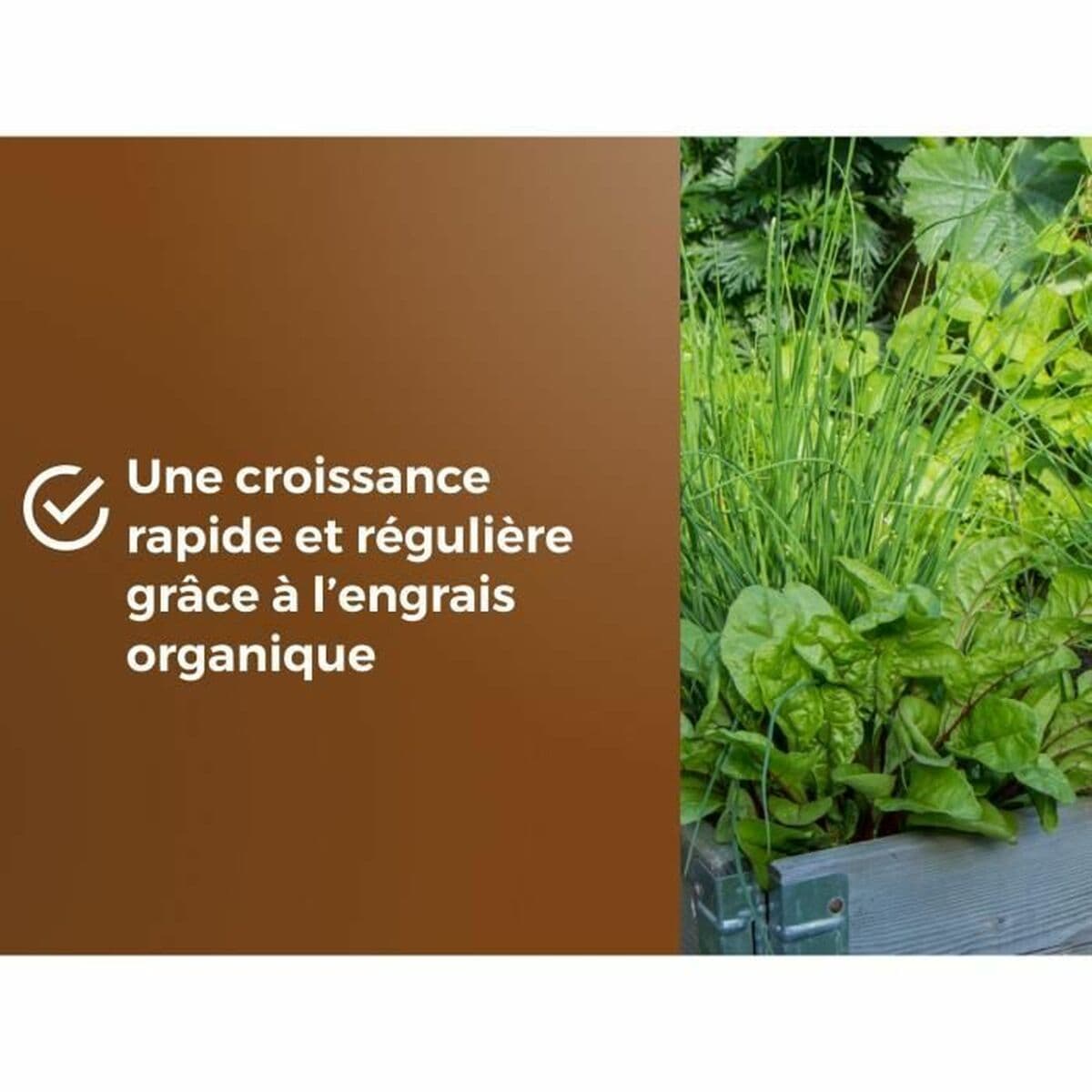 Blumenerde OR BRUN 6 L - Image 4