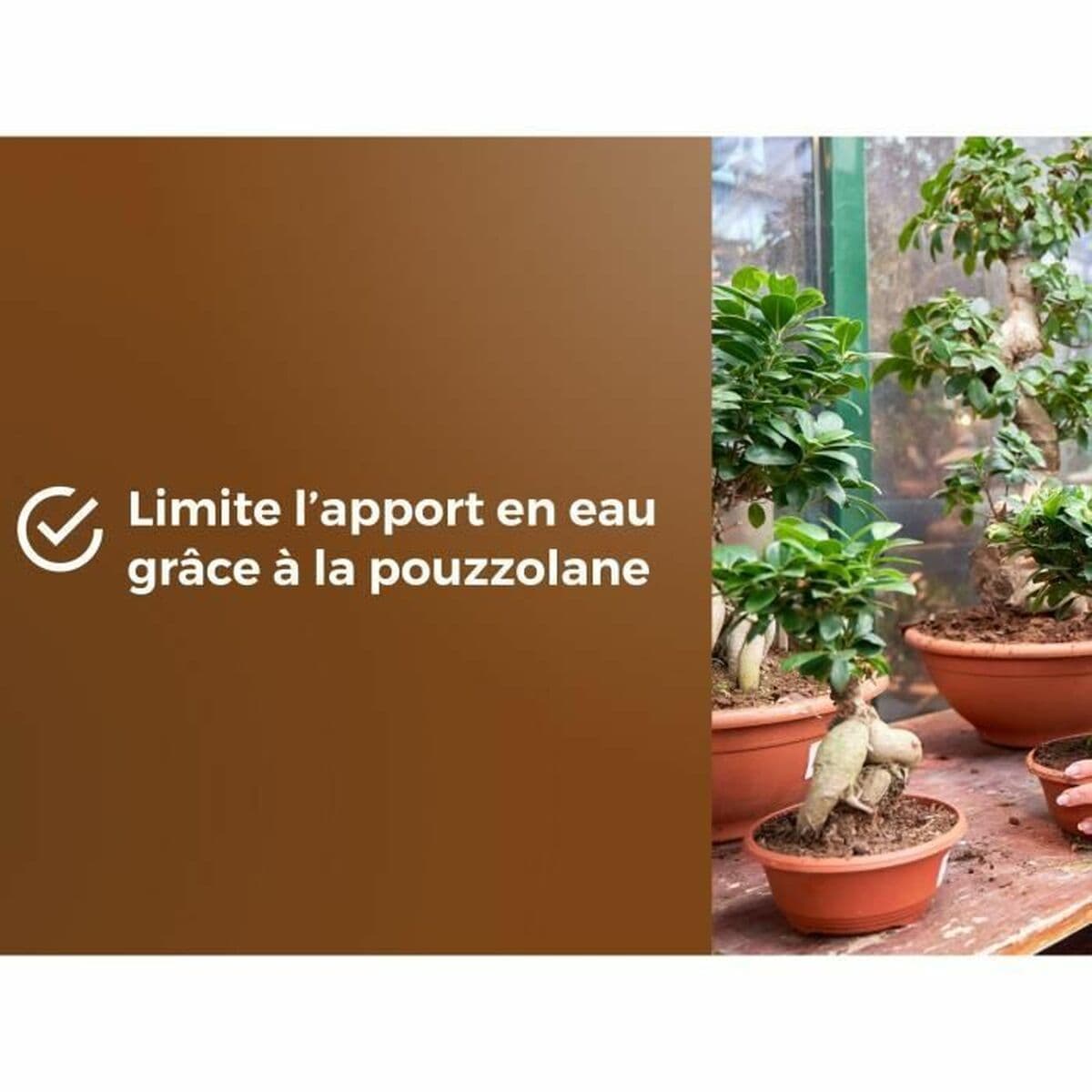 Blumenerde OR BRUN BROWN GOLD 6 L - Image 5