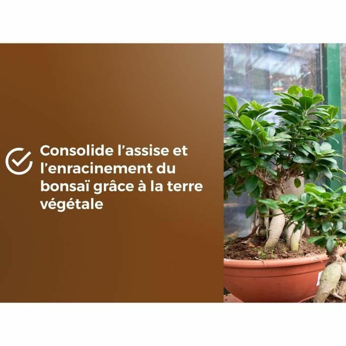 Blumenerde OR BRUN BROWN GOLD 6 L - Image 6