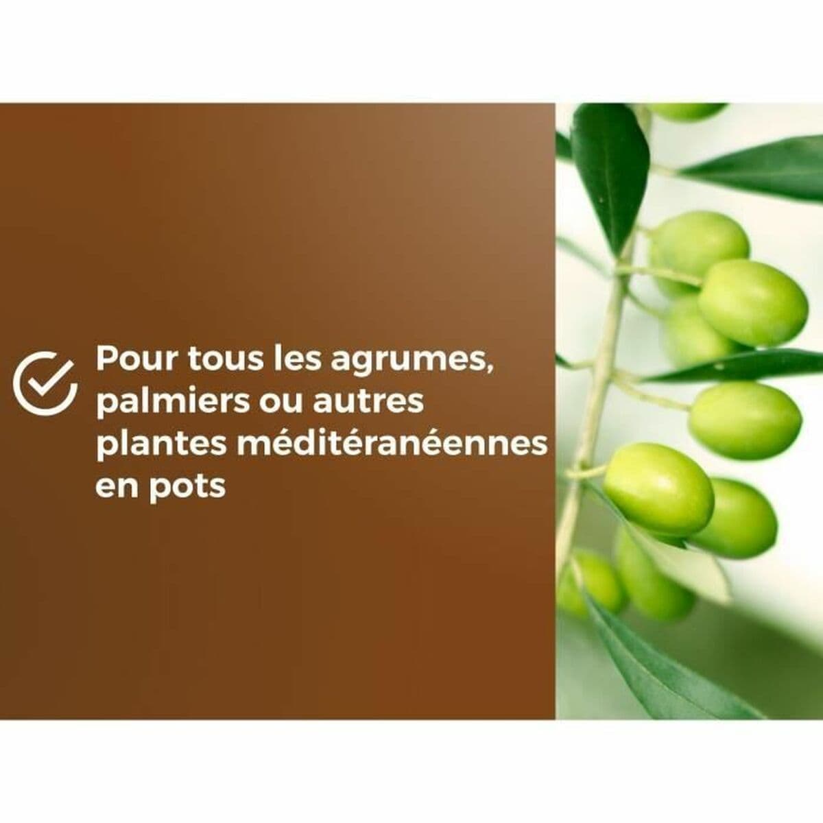 Tierra para macetas OR BRUN 6 L Cítricos - Image 5