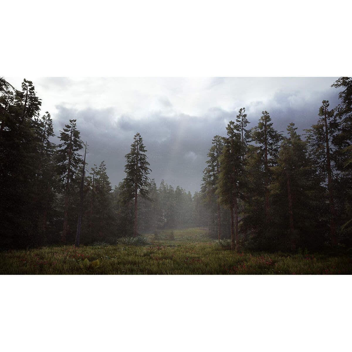 Videojuego PlayStation 5 Nacon HUNTING SIMULATOR 2 - Image 9