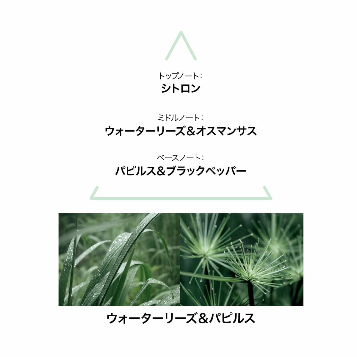 Parfym Damer Le Couvent des Minimes - Image 3