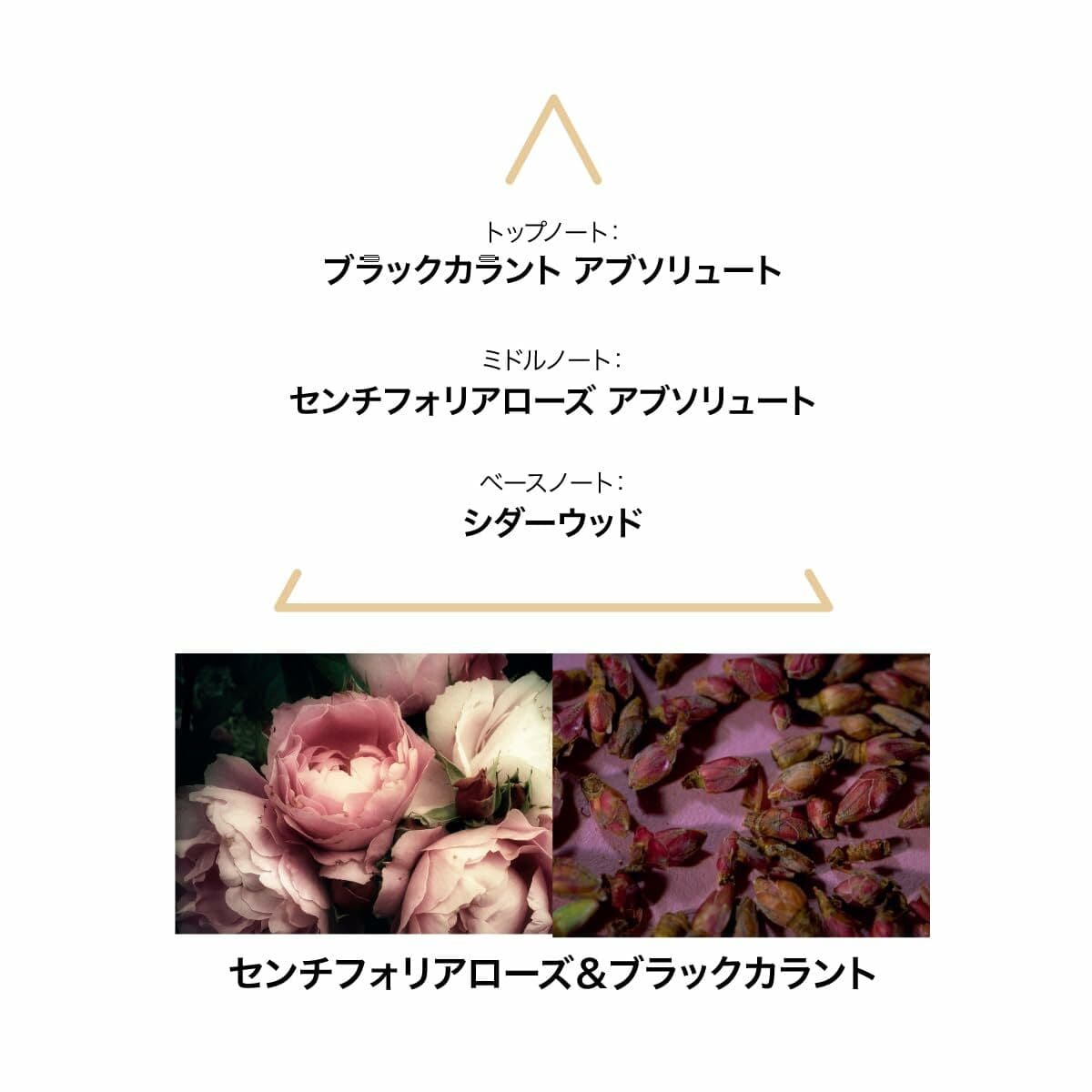 Damesparfum Le Couvent des Minimes EDP - Image 3